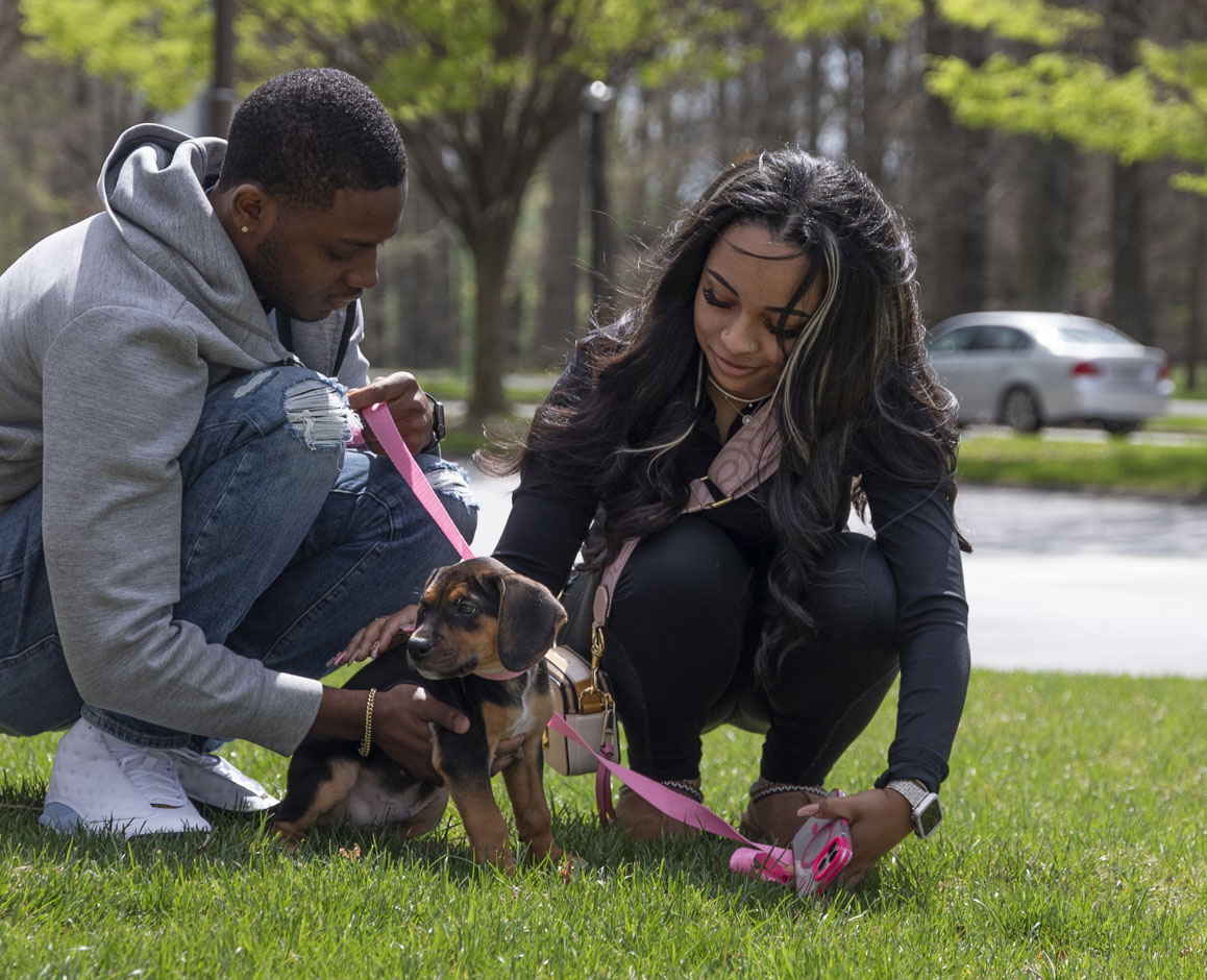 A couple plays in the grass with their puppy at Merriweather District.