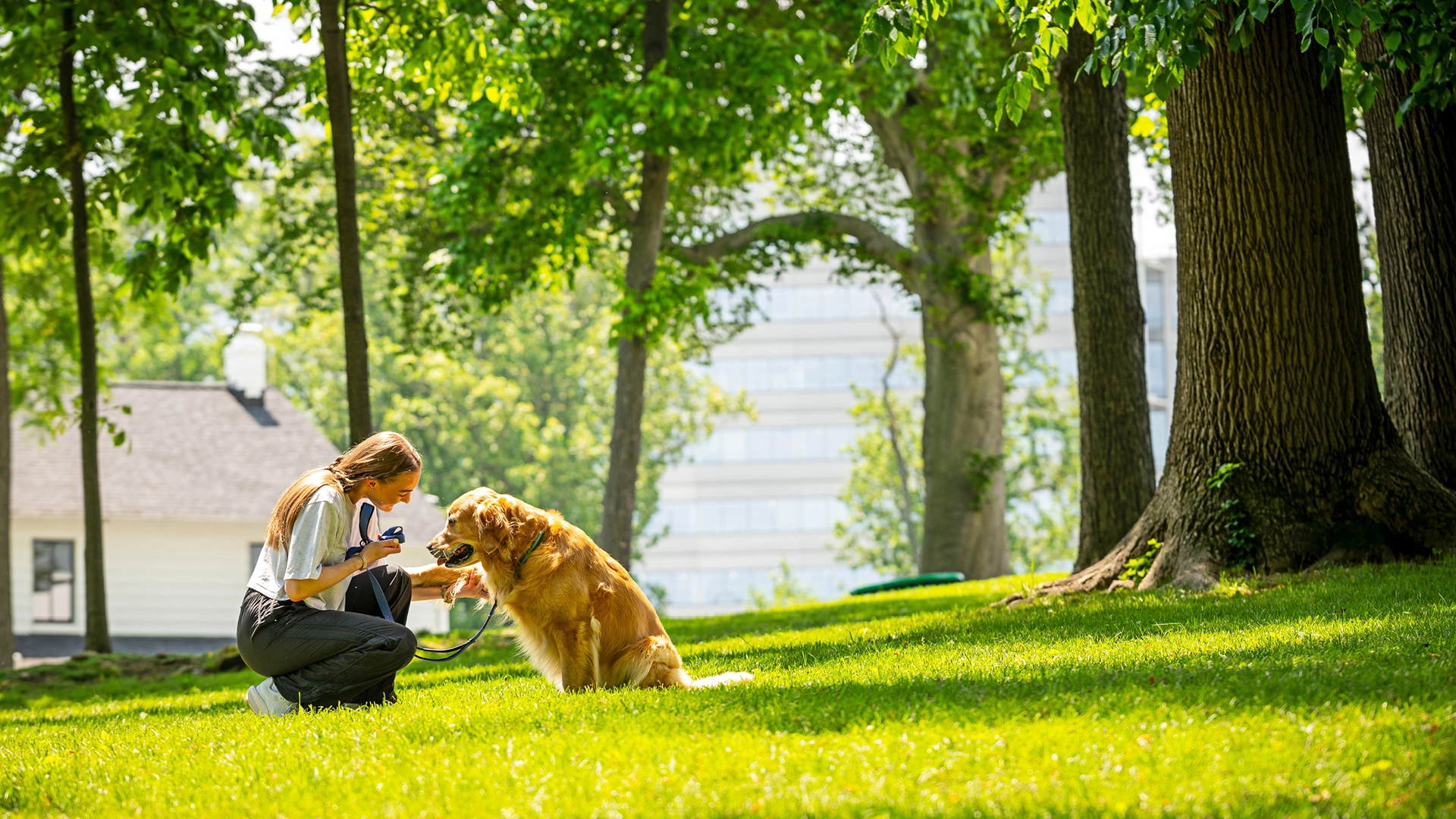 Woman and golden retriever play in a park at Merriweather DIstrict.