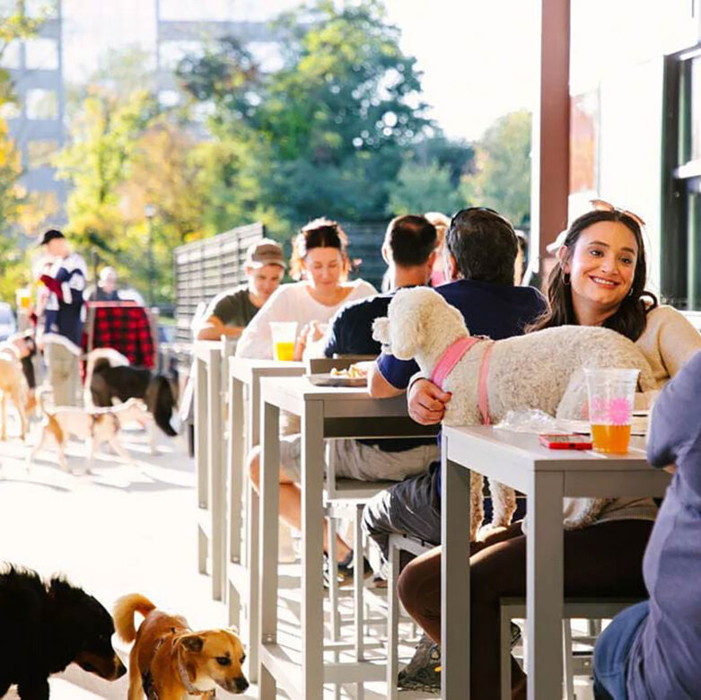 People gather for drinks with their dogs at Bark Social in Merriweather District.