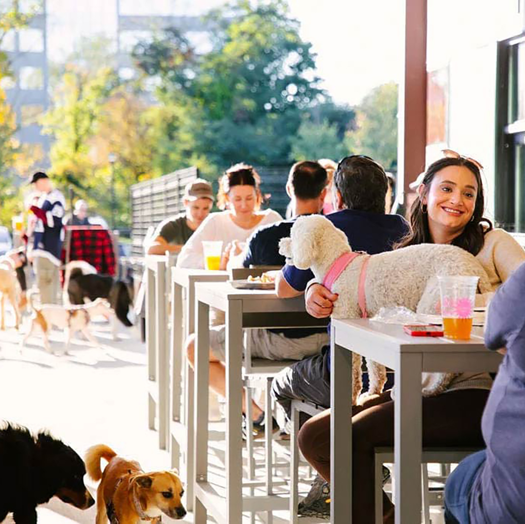 People gather for drinks with their dogs at Bark Social in Merriweather District.